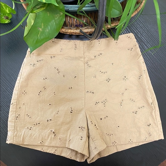 Ann Taylor Pants - Ann Taylor Beige Embroidered Women's Shorts